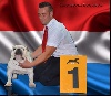  -  Internationnal Dog Show Luxembourg