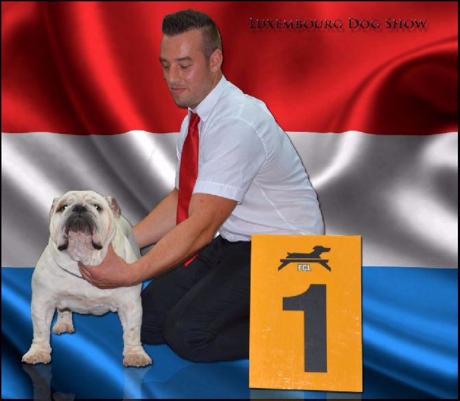 Edson Conqueror -  Internationnal Dog Show Luxembourg