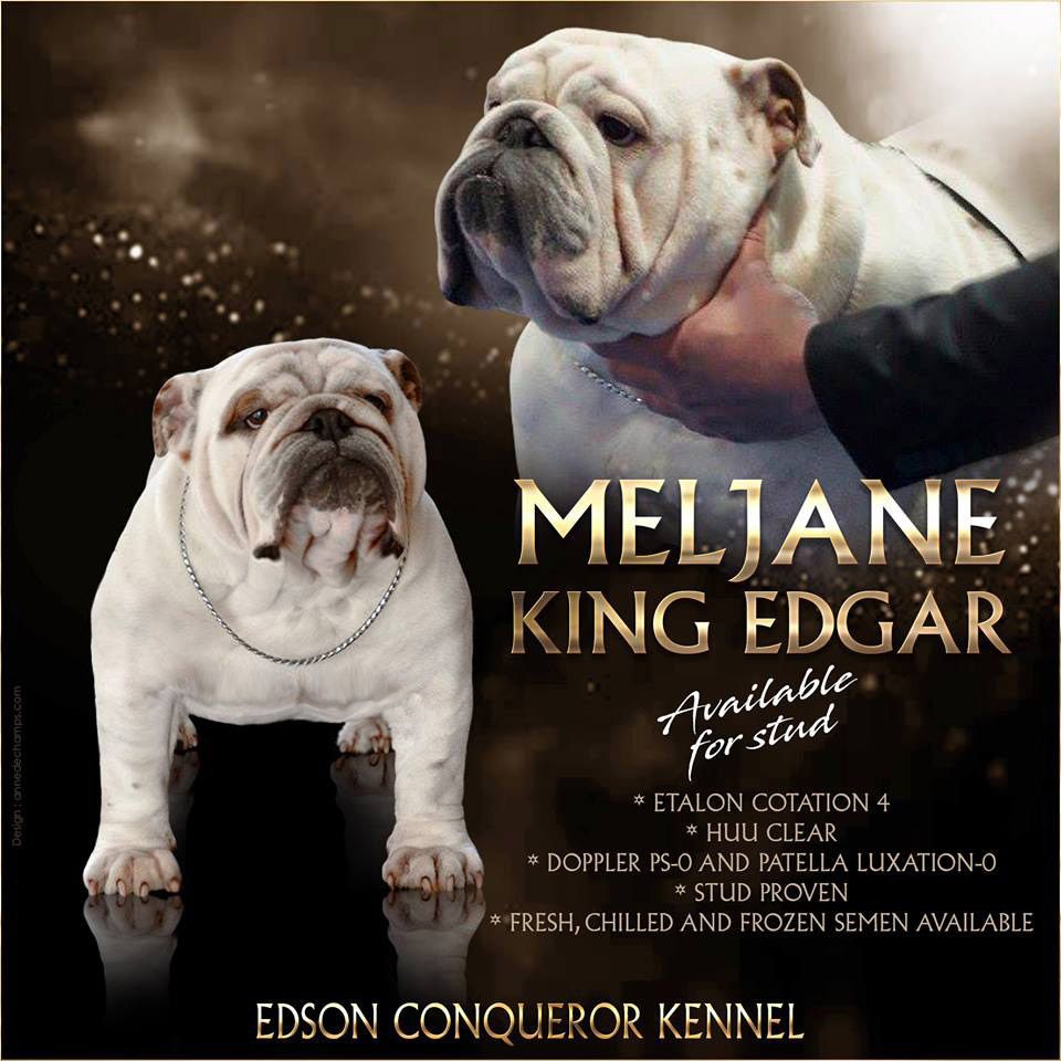 meljane King edgar